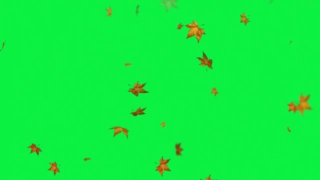 ФУТАЖ ЛИСТОПАД ОСЕНЬ смотреть онлайн