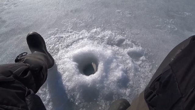 Безмотылка. Чёртик. Думал что закрыл сезон - ааа НЕТ!!! смотреть онлайн