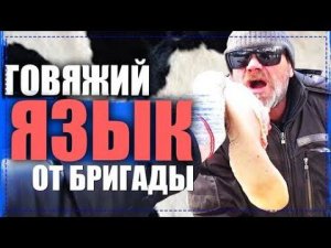 Говяжий Язык Эксклюзивный Рецепт ОТ Всей Бригады