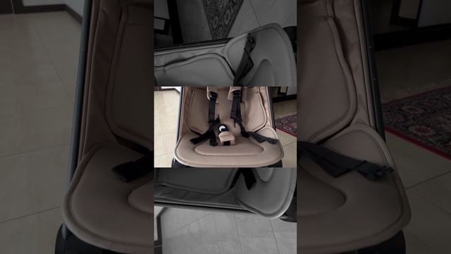 Новая коляска!? Пищу от восторга! #joolzaer #joolzaerplus смотреть онлайн