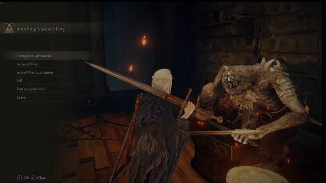 Elden Ring REBORN MOD смотреть онлайн