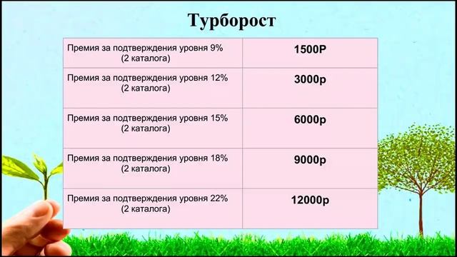 Маркетинг-план,начисление бонусов и выплат смотреть онлайн