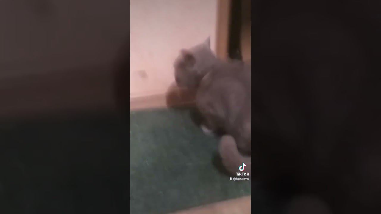 эх страрое видео ИЗ МОЕГО ТИК ТОК АККА #beat #roblox #typebeat #роблокс #music #automobile #рек #gta