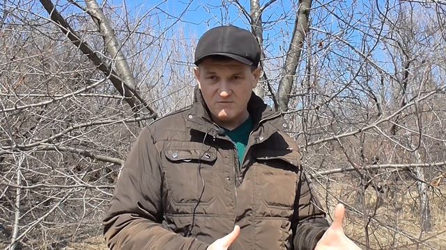 Апрель. Какие работы в саду необходимы смотреть онлайн