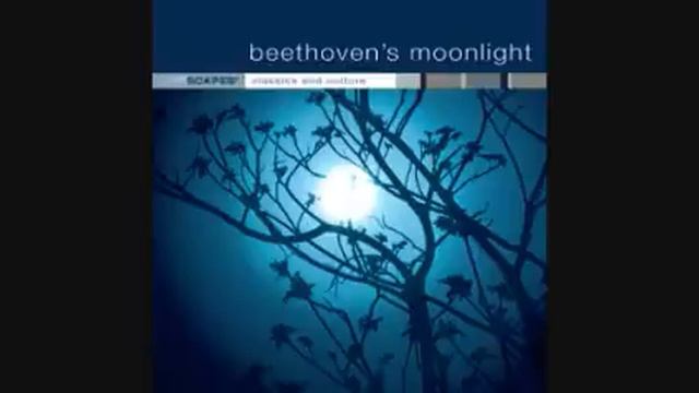 Beethoven's Moonlight - Piano Trio In B Flat - Allegro Moderato смотреть онлайн