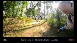 Yamaha Tenere 700  обзор и первое впечатление