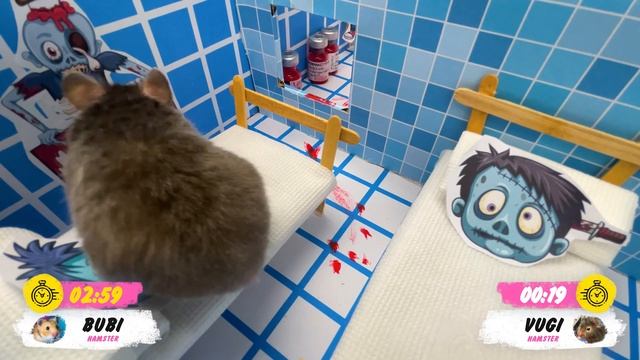 Hamster Fighting Zombie ? Hamster Obstacle Hospital Maze By Hamsters Show
