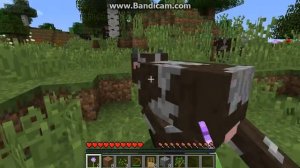 Как стать крутым в MINECRAFT!!Что нужно делать!!