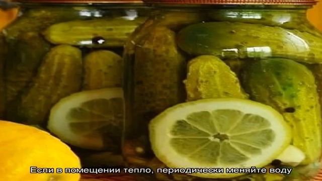 Лучшие рецепты хрустящих маринованных огурцов с лимоном на зиму смотреть онлайн