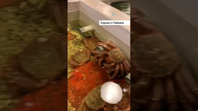 Крутейший рынок морепродуктов в столице Тайваня смотреть онлайн