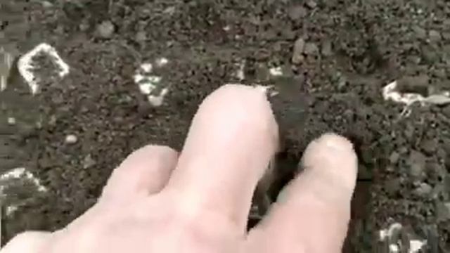 Психологические Лекции