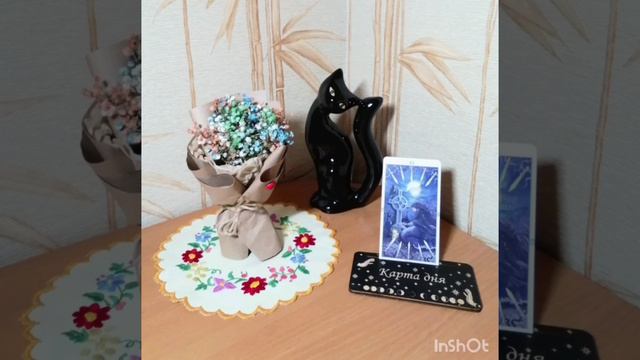 🃏Карта дня на 25 мая 2024🃏 смотреть онлайн