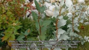 О погоде на Сейшелах по месяцам: сезон для отдыха, температура воды и воздуха