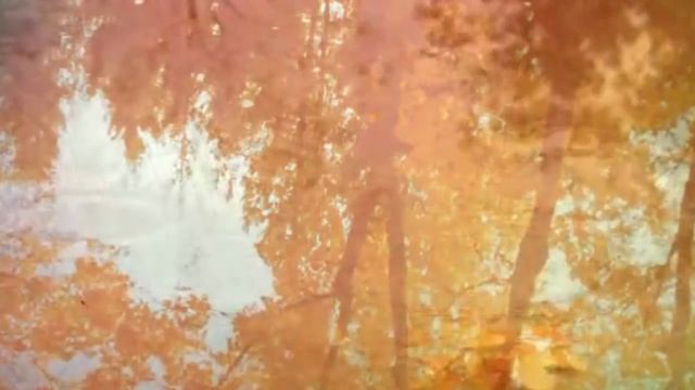 Осенняя мелодия (фрагмент) смотреть онлайн
