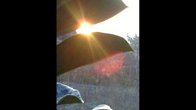 Приходит свет смотреть онлайн