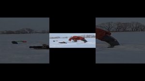 Как я поймал зверюгу.