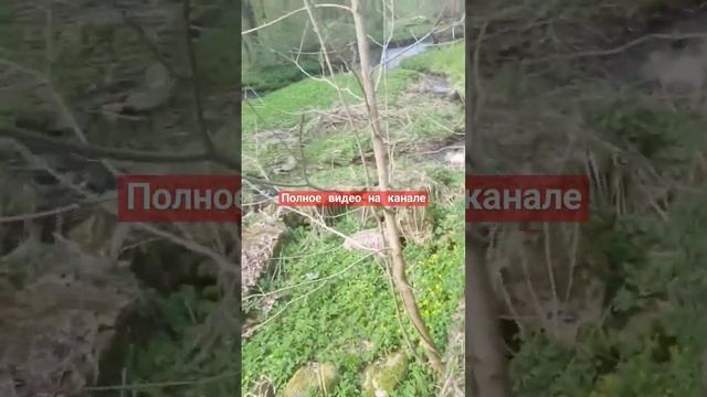 Беларусь Гердутишки остатки водяной мельницы р.Березина смотреть онлайн
