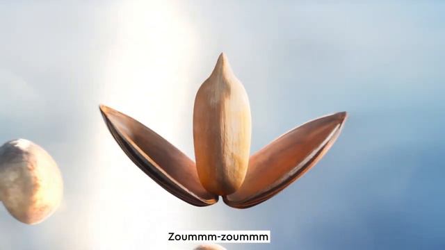 «Зуммм-зуммм»