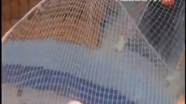 Хочу и могу Полетать под куполом цирка смотреть онлайн