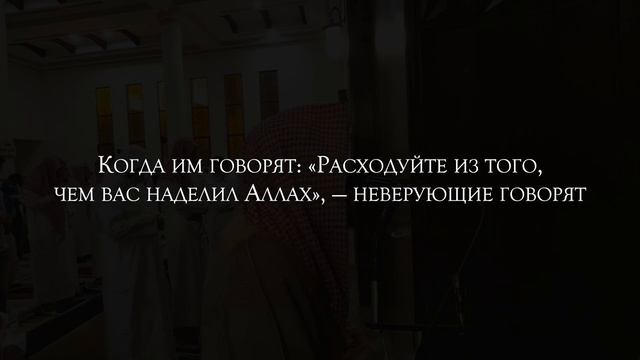 Мухаммад Аль Люхайдан. Сура «Ясин». смотреть онлайн