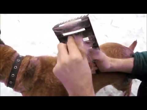 Железная ЩЕТКА для баранов, пригодилась))))! смотреть онлайн