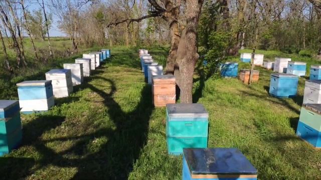 Поехали на рапс 04.05.2021 смотреть онлайн