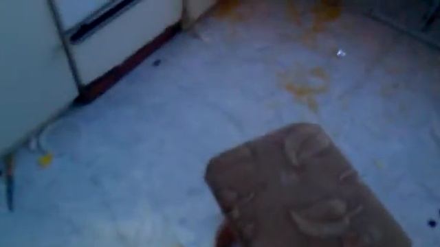 как собаки дома одни остаются... смотреть онлайн