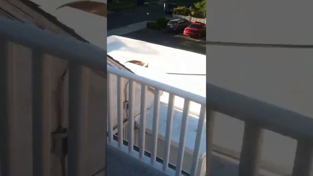 FLEX PVC Membrane Roofing in West Hartford Connecticut смотреть онлайн