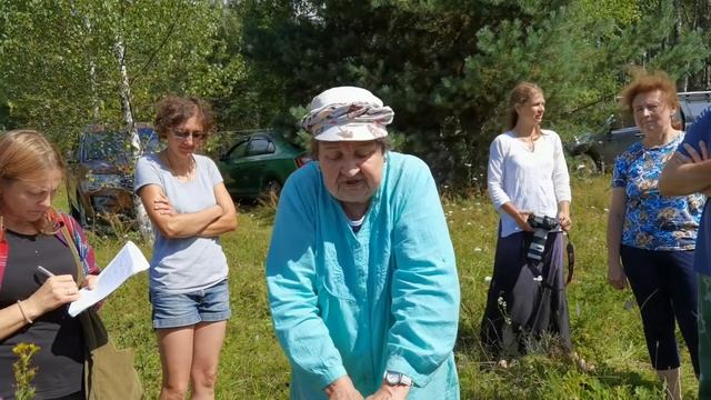 Бедренец камнеломковый смотреть онлайн
