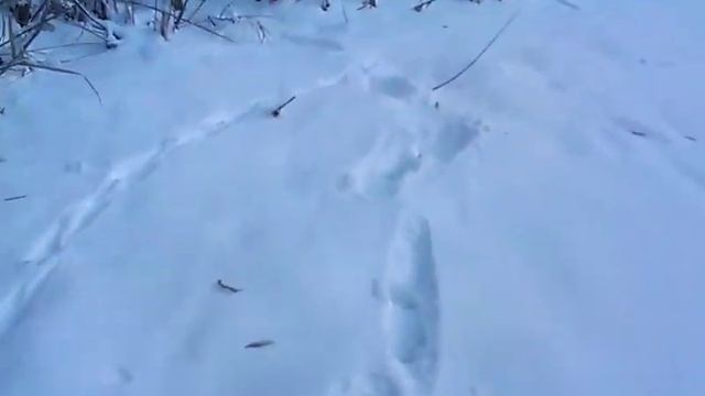 Следы куницы смотреть онлайн