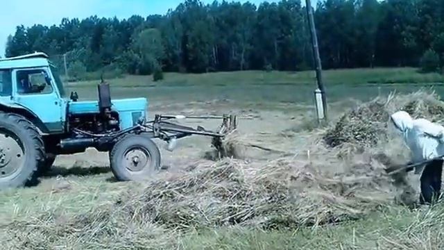 Травы-травы-травы не успели_____ смотреть онлайн