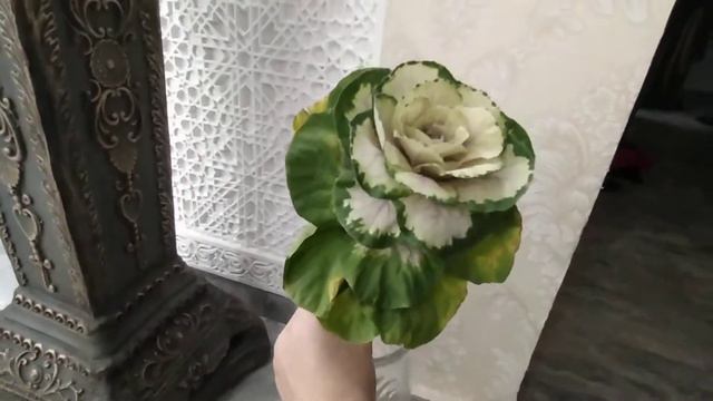 ТАКОЕ ТОЛЬКО В ДУБАЕ МОЖЕТЕ УВИДЕТЬ смотреть онлайн