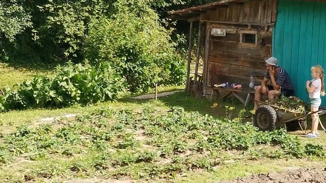 Беларусь, могилев, как живут беларусы, простая семья, наша дача смотреть онлайн