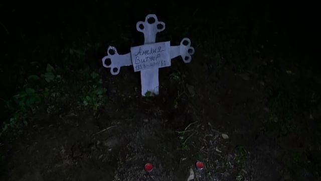 ОЖИВИЛ МЕРТВЕЦА НА КЛАДБИЩЕ в 3:00 *чуть не умер* смотреть онлайн