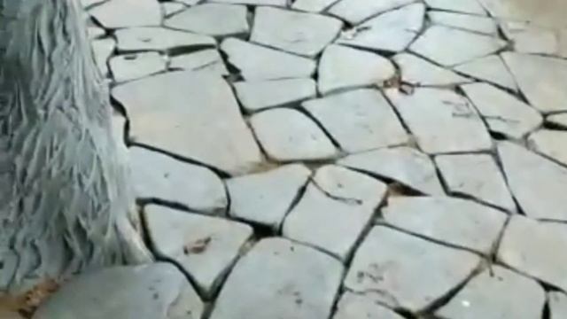 Дорожки на даче из натурального камня (своими руками) смотреть онлайн