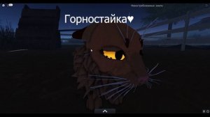 Голоса котов воителей - Warrior Cats (roblox)