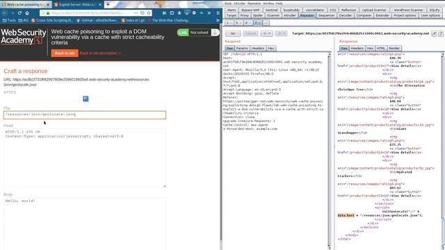Web cache poisoning to exploit a DOM vulnerability via a cache with strict criteria- VIDEO SOLUTION смотреть онлайн