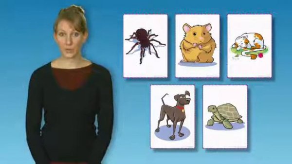 Oxford Bright Ideas 1 - Review Video 4 Part 1