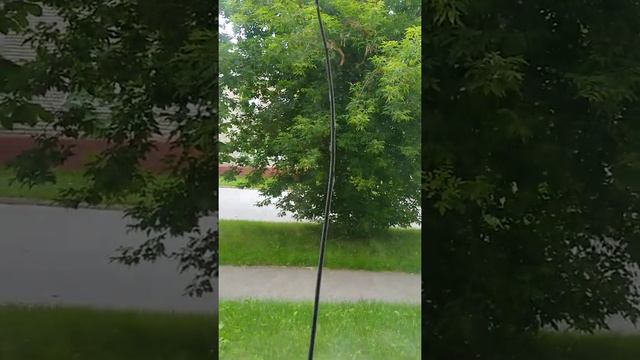 Aloe Spinous - Day 10 смотреть онлайн