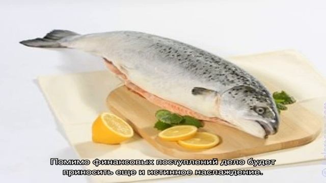 «Сонник Рыба в воде приснилась, к чему снится во сне Рыба в воде» смотреть онлайн