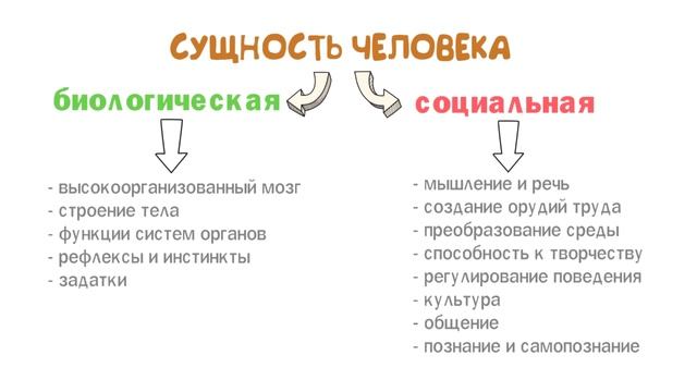 1.1 Природное и общественное в человеке ? Подготовка к ЕГЭ по обществознанию смотреть онлайн