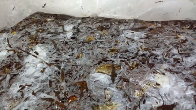 ? Выращивания шампиньона часть 7. Рыхление компоста #DENLife смотреть онлайн