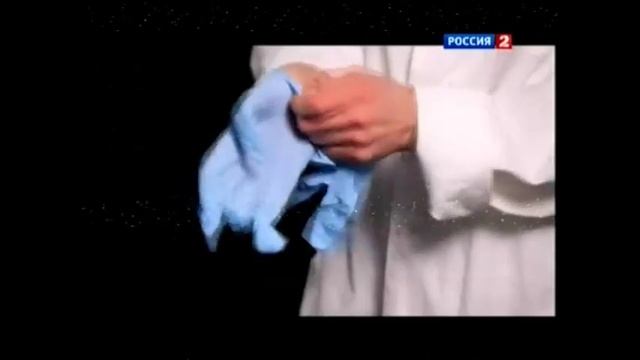 Домашние паразиты смотреть онлайн