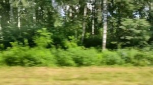 С Минска До Орши-Центральной за 16 минут!На ласточке