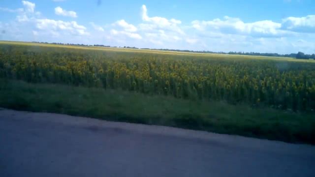 Швидкість і краса за вікном авто...футаж... смотреть онлайн
