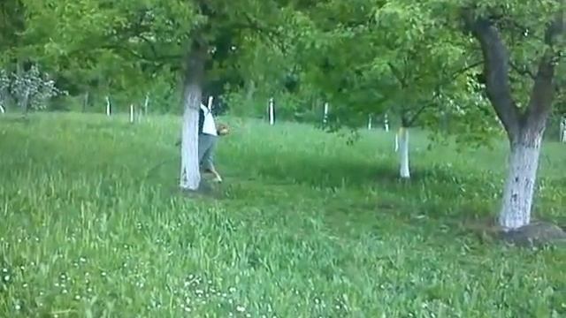 Osman H. prvi trimer Tuzle смотреть онлайн