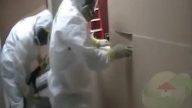 Mold On Walls, Drywall Or Sheetrock смотреть онлайн