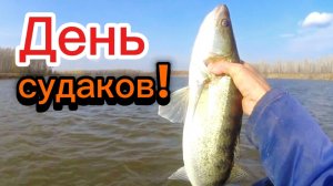 День Судаков! А налим на отдыхе