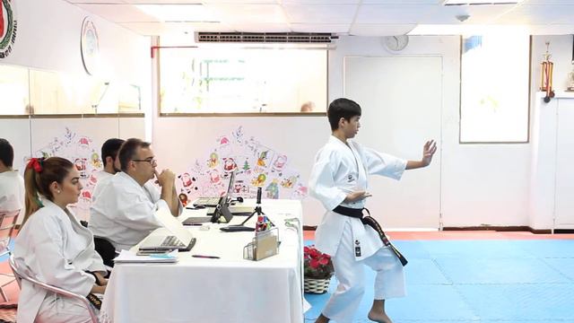 10. Examen Karate Primer Dan смотреть онлайн