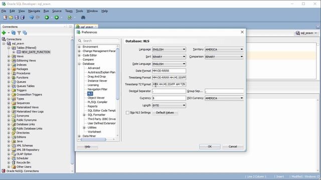 [vi] SQL Developer: Thay đổi hiển thị DATETIME khi query, và những ảnh hưởng của nó đến hàm TO_DATE смотреть онлайн